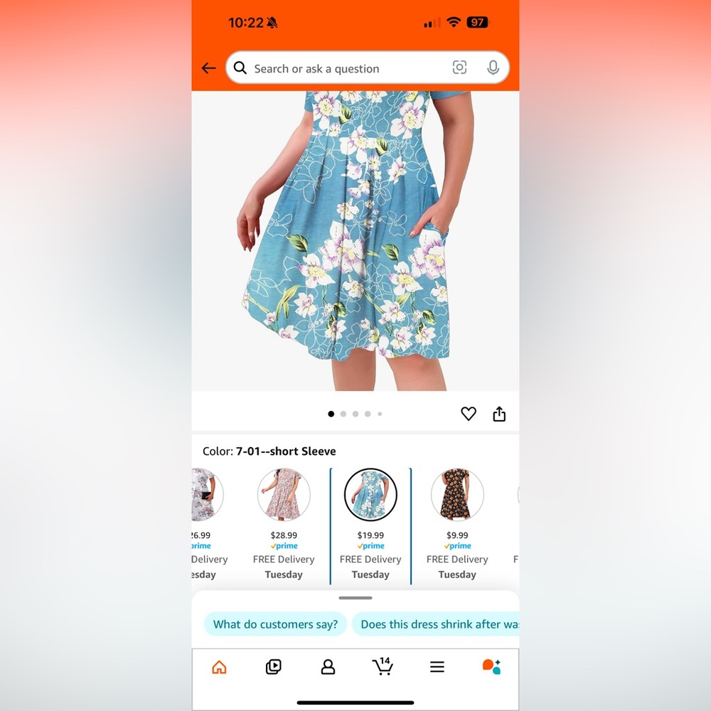Women’s dress